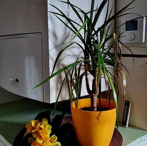 *harzblick* Apartmán